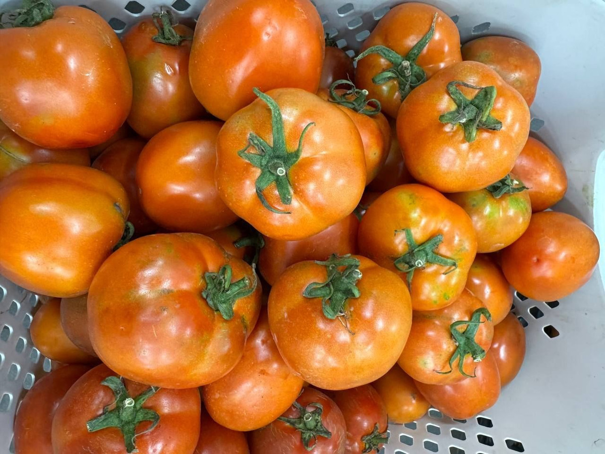 Thứ quả từng "rẻ như cho" nay khiến người mua choáng váng vì giá đắt đỏ - Ảnh 3.