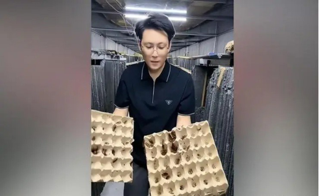 Nghề "hot" kiếm cả tỷ/năm nhưng không phải ai cũng dám làm - Ảnh 1.