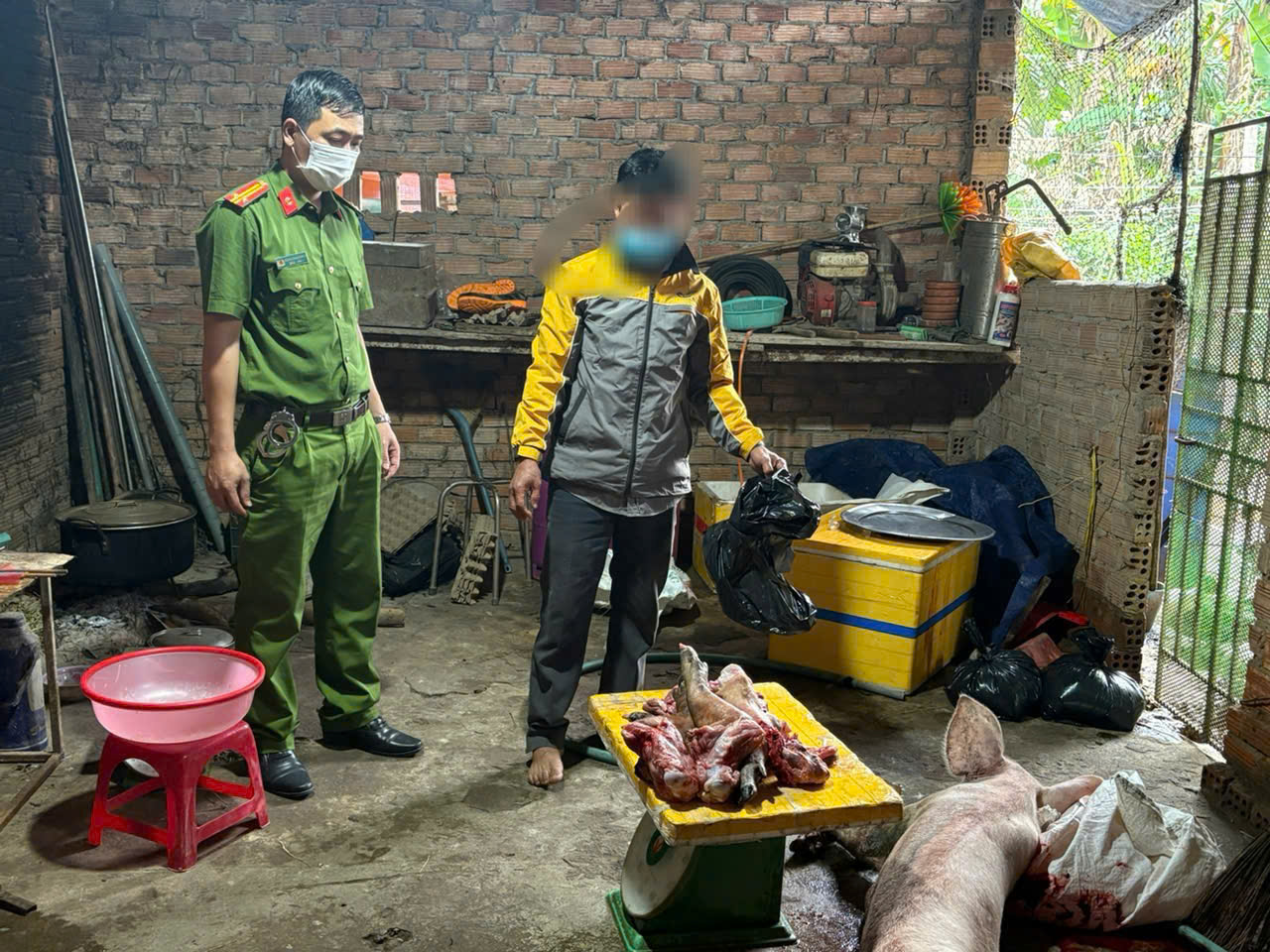 Phát hiện người đàn ông mua lợn chết về mổ lấy thịt đem bán ra thị trường- Ảnh 1. Phát hiện người đàn ông mua lợn chết về mổ lấy thịt đem bán ra thị trường- Ảnh 1.