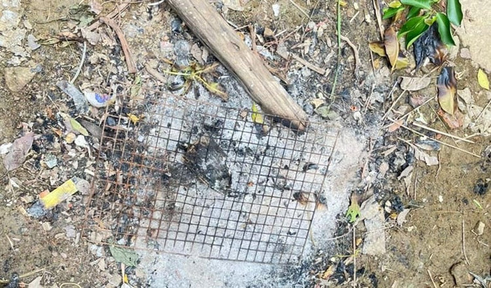 Người đàn ông 34 tuổi tử vong ngay sau khi ăn món "lạ mắt" - Ảnh 1.