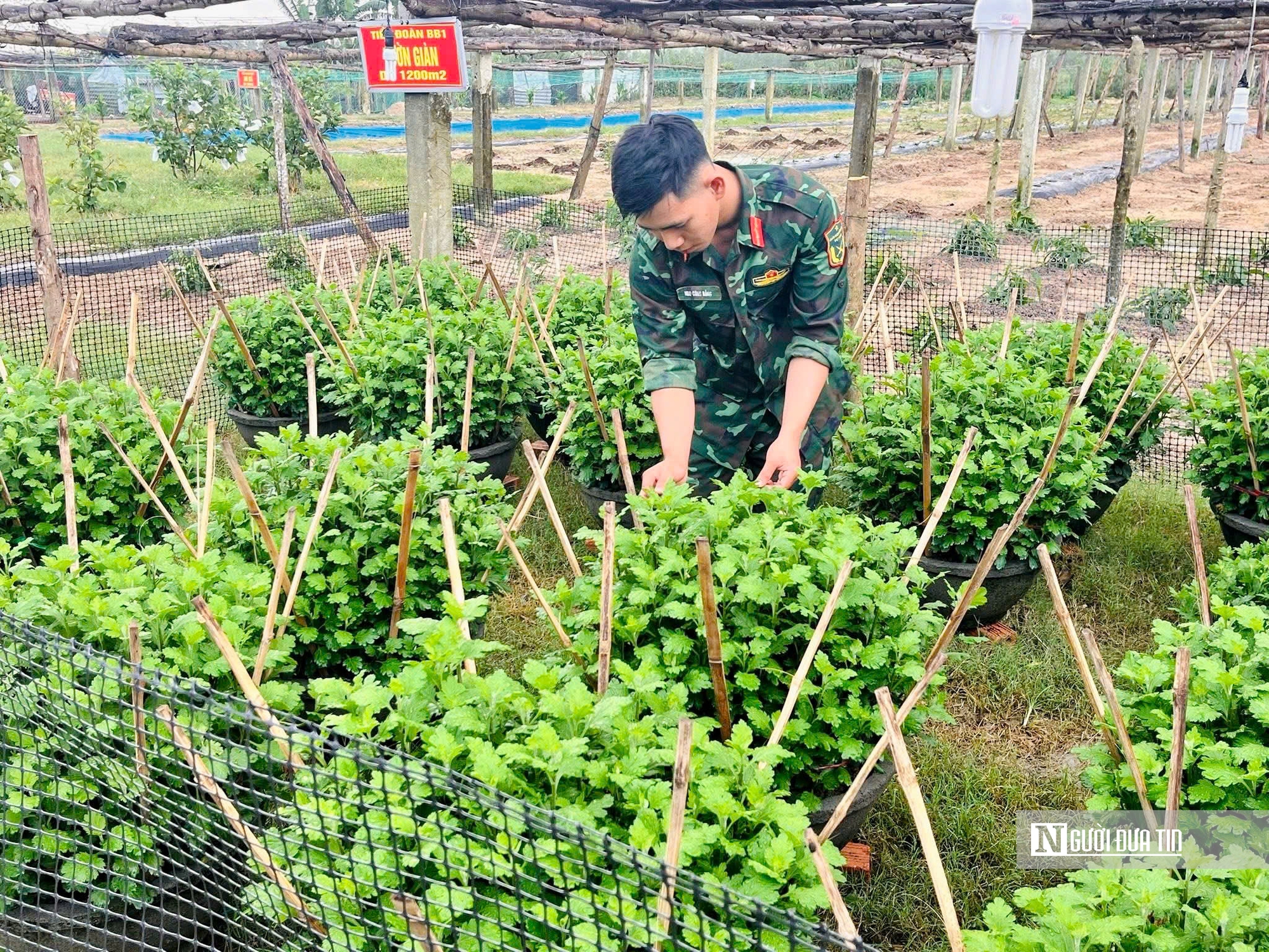 Họ sĩ áo xanh "thổi hồn" vào sắt thép, xi măng thành linh vật ngựa đón Tết- Ảnh 4. Họ sĩ áo xanh "thổi hồn" vào sắt thép, xi măng thành linh vật ngựa đón Tết- Ảnh 4.