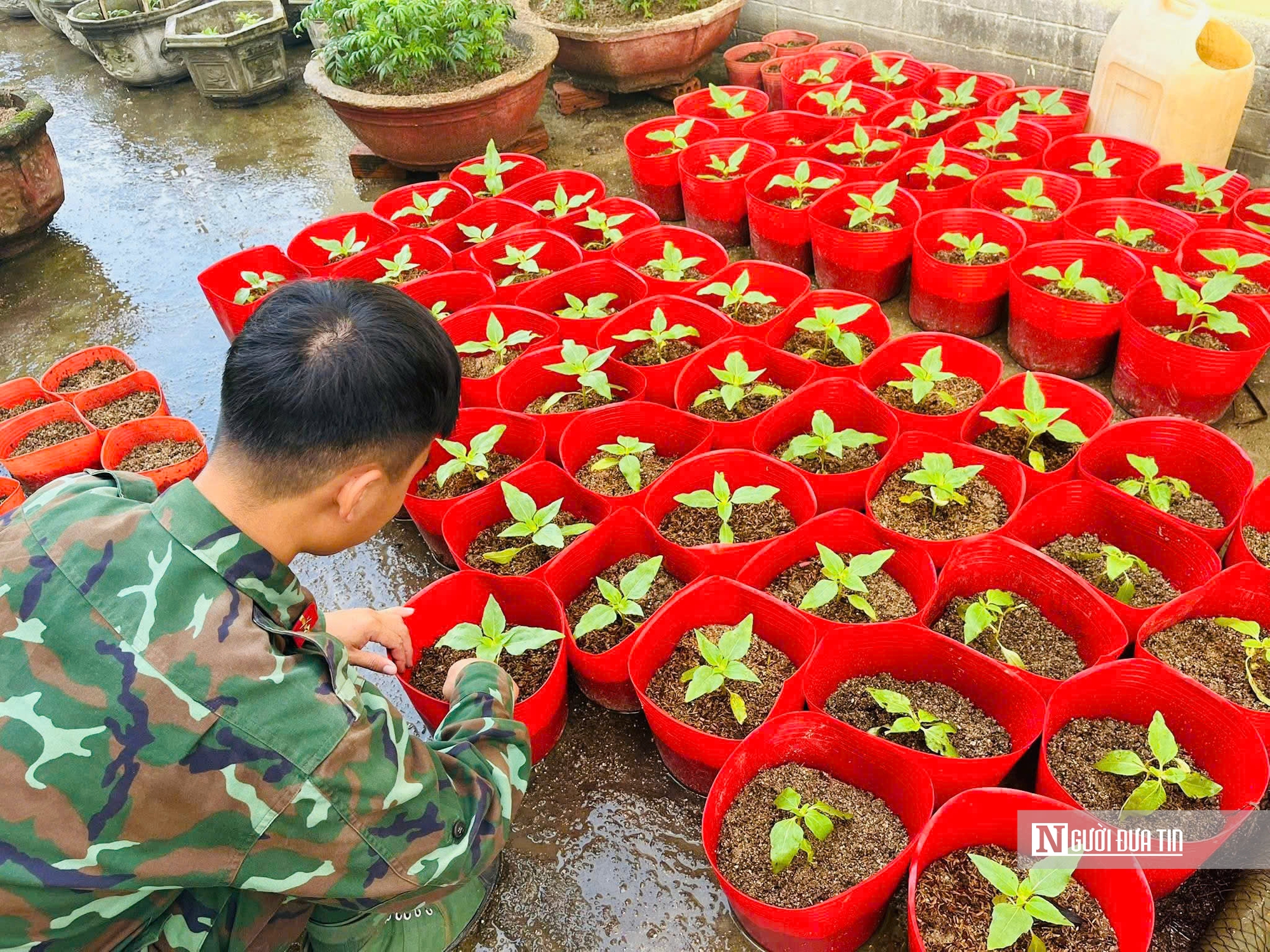 Họ sĩ áo xanh "thổi hồn" vào sắt thép, xi măng thành linh vật ngựa đón Tết- Ảnh 5. Họ sĩ áo xanh "thổi hồn" vào sắt thép, xi măng thành linh vật ngựa đón Tết- Ảnh 5.