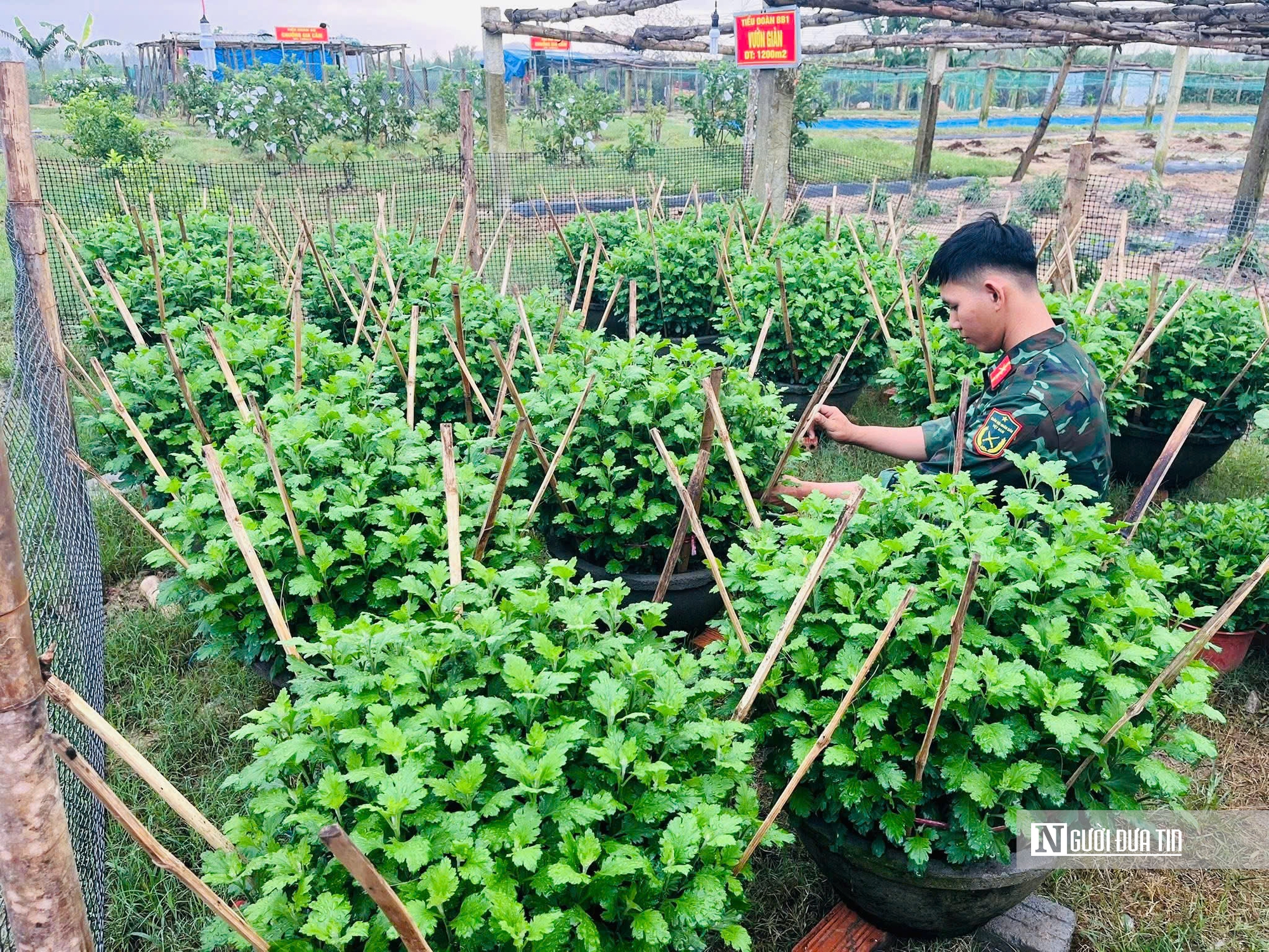 Họ sĩ áo xanh "thổi hồn" vào sắt thép, xi măng thành linh vật ngựa đón Tết- Ảnh 6. Họ sĩ áo xanh "thổi hồn" vào sắt thép, xi măng thành linh vật ngựa đón Tết- Ảnh 6.