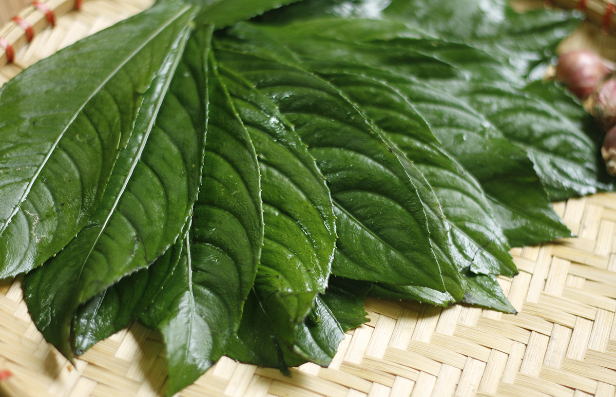 Công dụng không ngờ từ loại lá là gia vị phổ biến trong bếp người Việt - Ảnh 4.