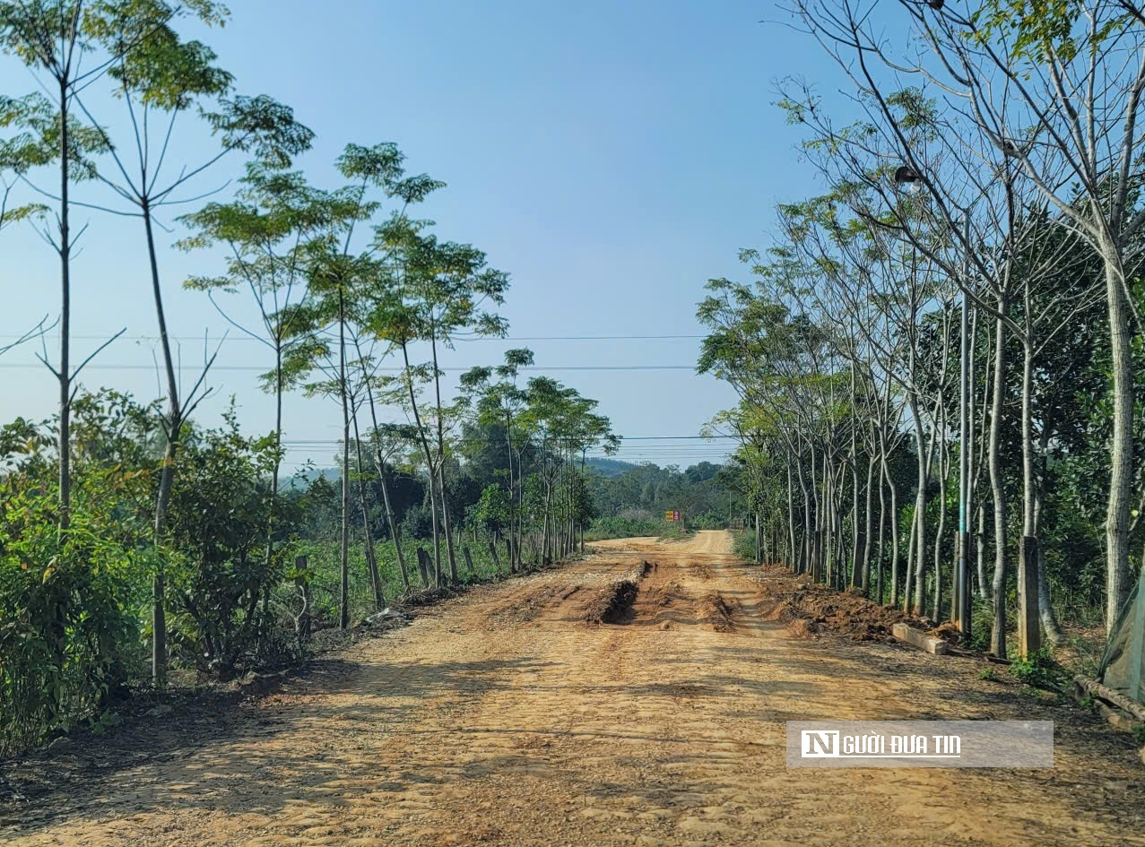 Mỏ đất chưa cấp phép đấu nối với quốc lộ, gây ô nhiễm môi trường dừng hoạt động- Ảnh 3.