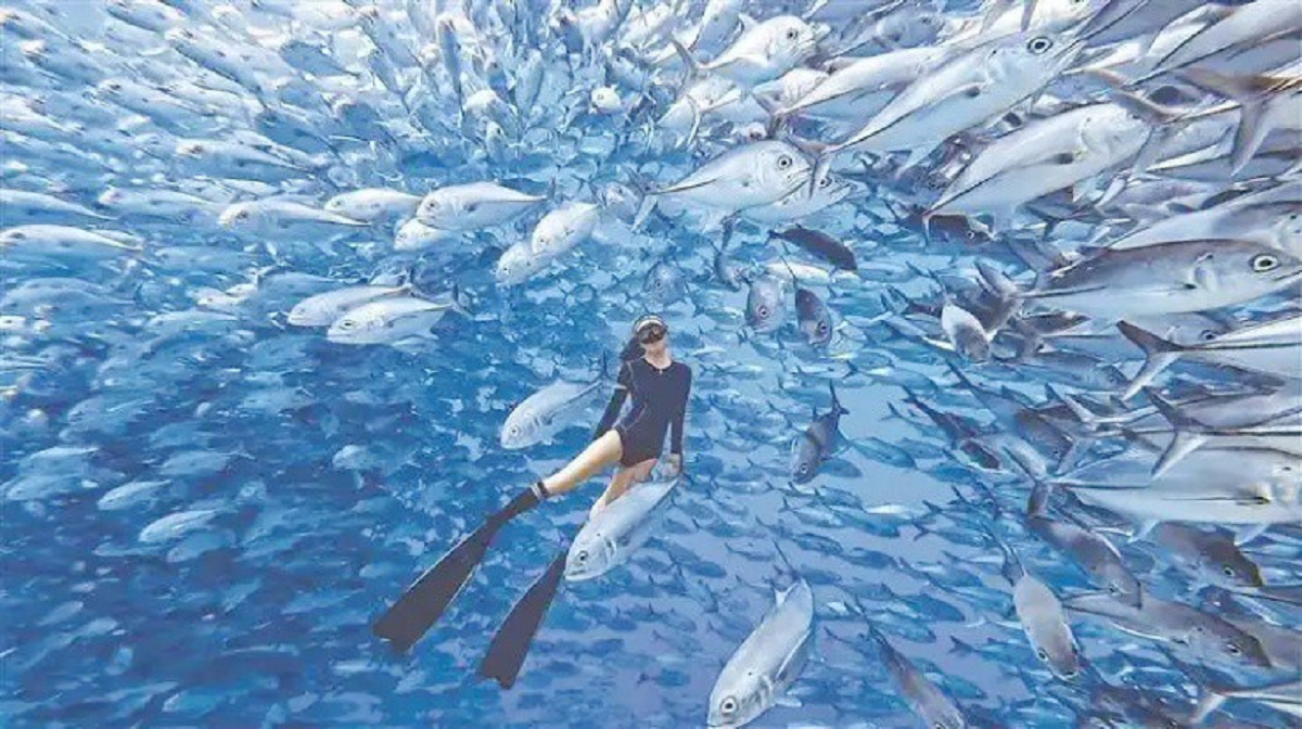 Nghề "hot": Đi làm như đi chơi kiếm hơn nửa tỷ đồng - Ảnh 2.