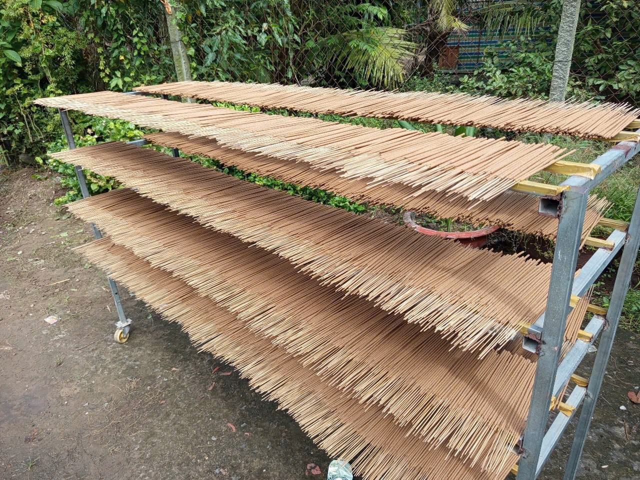 Lá nghệ bị bỏ đi thành "chìa khóa" khởi nghiệp của thạc sĩ hóa học- Ảnh 3.