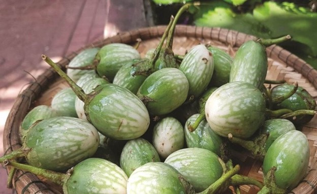 Loại quả mọc dại c&oacute; vị đắng đặc trưng nay th&agrave;nh đặc sản, đặc biệt ngon khi nấu c&ugrave;ng thịt ba chỉ - Ảnh 7.