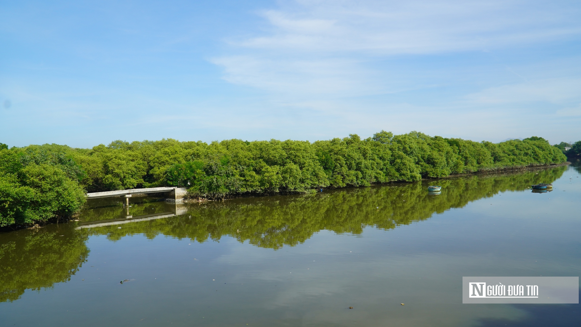 Lâm Đồng "đánh thức" gần 30ha đất ngập nước, tái sinh "lá phổi xanh" giữa đô thị- Ảnh 1. Lâm Đồng "đánh thức" gần 30ha đất ngập nước, tái sinh "lá phổi xanh" giữa đô thị- Ảnh 1.