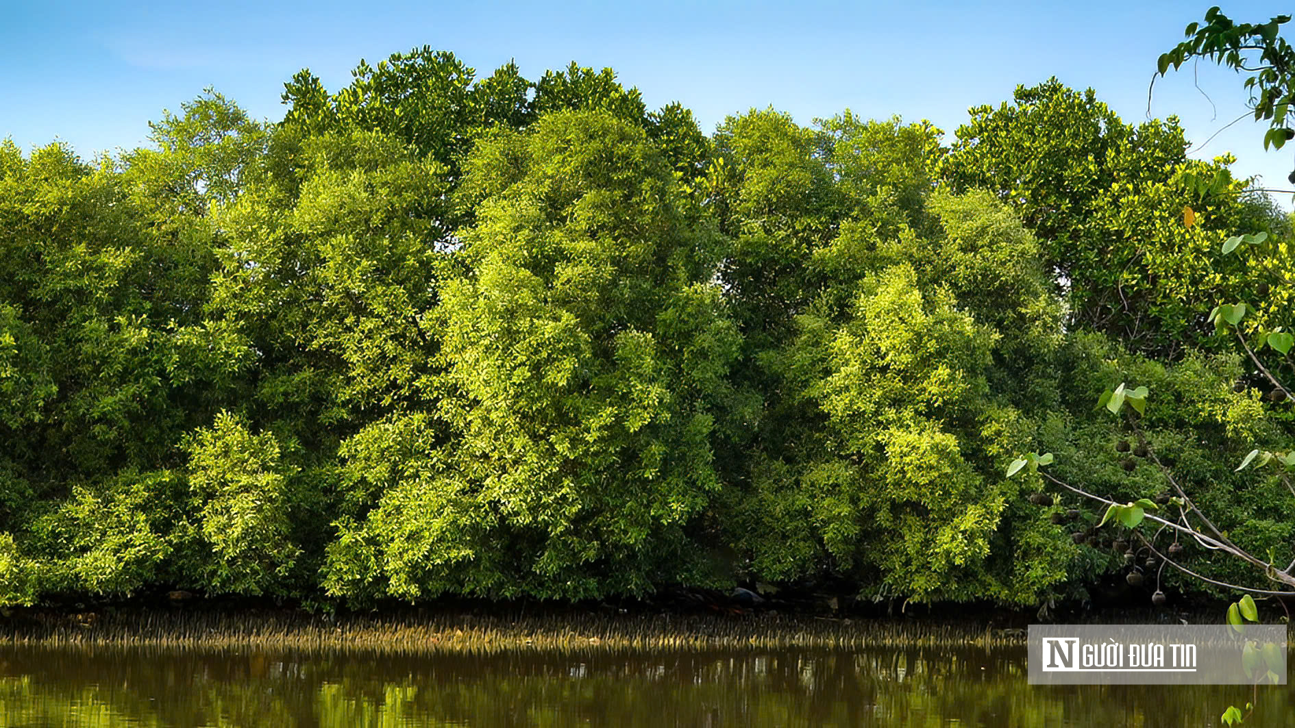 Lâm Đồng "đánh thức" gần 30ha đất ngập nước, tái sinh "lá phổi xanh" giữa đô thị- Ảnh 4. Lâm Đồng "đánh thức" gần 30ha đất ngập nước, tái sinh "lá phổi xanh" giữa đô thị- Ảnh 4.