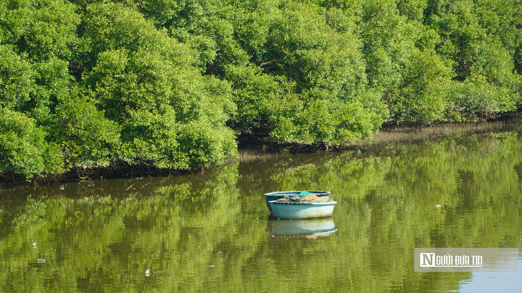 Lâm Đồng "đánh thức" gần 30ha đất ngập nước, tái sinh "lá phổi xanh" giữa đô thị- Ảnh 7. Lâm Đồng "đánh thức" gần 30ha đất ngập nước, tái sinh "lá phổi xanh" giữa đô thị- Ảnh 7.