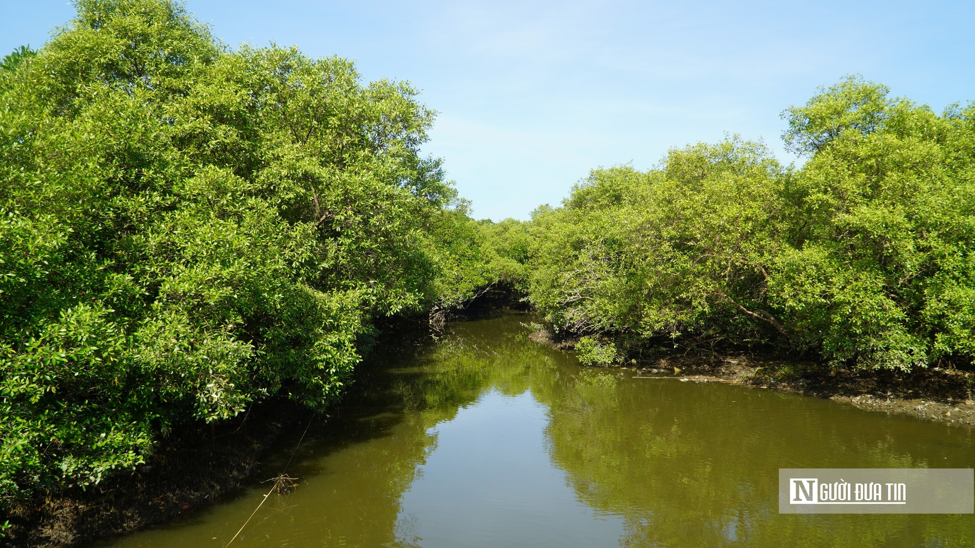 Lâm Đồng "đánh thức" gần 30ha đất ngập nước, tái sinh "lá phổi xanh" giữa đô thị- Ảnh 9. Lâm Đồng "đánh thức" gần 30ha đất ngập nước, tái sinh "lá phổi xanh" giữa đô thị- Ảnh 9.