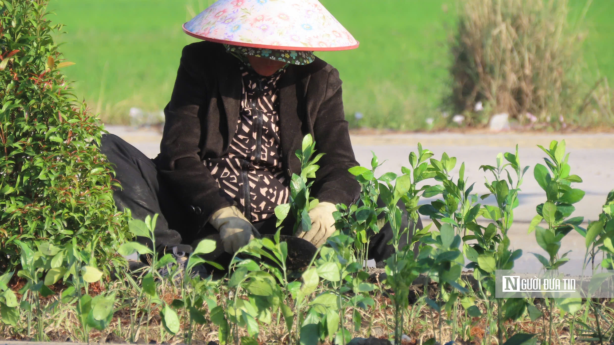 Tuyến đường kết nối Tây Ninh - Tp.HCM lộ diện hình hài sau hơn 3 năm thi công- Ảnh 4.