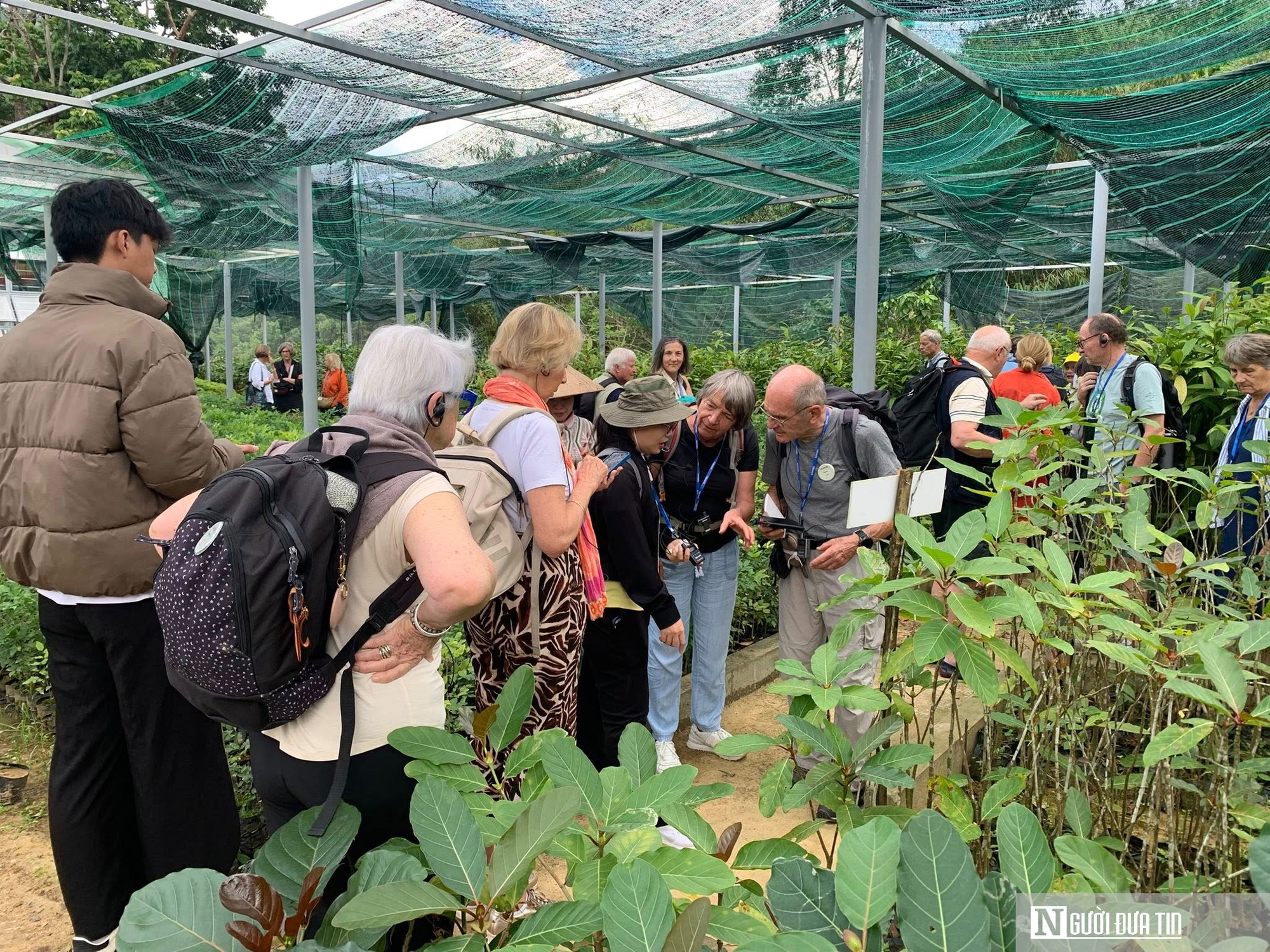 Không resort, không hào nhoáng, làng quê hút khách ở Đà Nẵng- Ảnh 3.