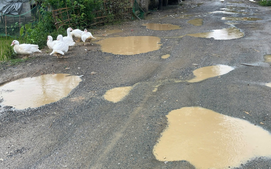 Cận cảnh cầu 800 tỷ đồng ho&agrave;n thiện nhưng "đ&oacute;ng cửa", người d&acirc;n vẫn qua s&ocirc;ng bằng đ&ograve;- Ảnh 6.