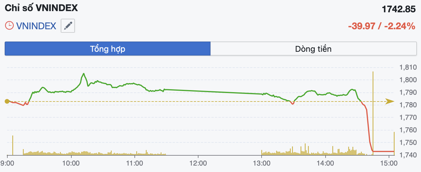 VN-Index lao dốc gần 40 điểm, cổ phiếu “họ Vin” cuốn bay mọi nỗ lực tăng điểm của thị trường- Ảnh 1.
