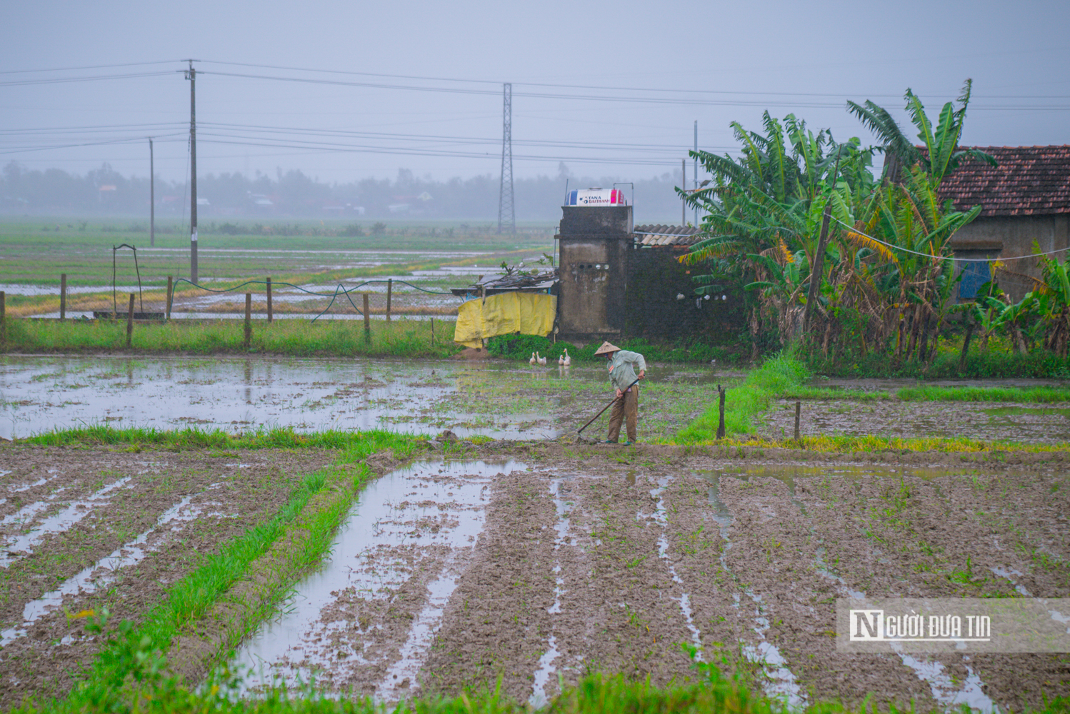 Đắk Lắk: Khắc phục sự cố đê đập sau lũ, kịp đưa nước tưới 18.000 ha vụ lúa Đông Xuân - Ảnh 4.