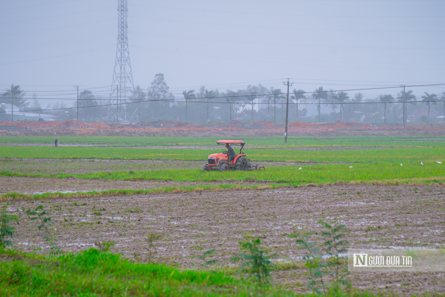 Đắk Lắk: Khắc phục sự cố đê đập sau lũ, kịp đưa nước tưới 18.000 ha vụ lúa Đông Xuân - Ảnh 5.