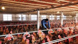 Truyền th&ocirc;ng thay đổi h&agrave;nh vi &ndash; C&ocirc;ng cụ then chốt trong giảm ngh&egrave;o th&ocirc;ng tin tại Th&aacute;i Nguy&ecirc;n - Ảnh 1.