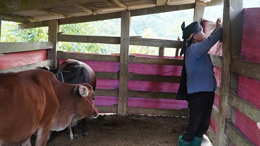 Thiên tai và khoảng trống thông tin – Thách thức giảm nghèo bền vững ở Thái Nguyên sau sáp nhập- Ảnh 1. Thiên tai và khoảng trống thông tin – Thách thức giảm nghèo bền vững ở Thái Nguyên sau sáp nhập- Ảnh 1.