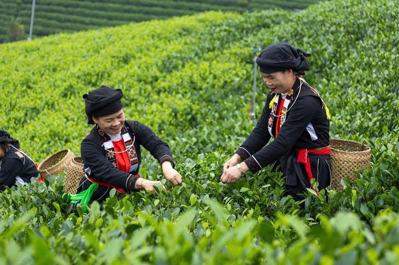Đ&agrave;o tạo nghề &ndash; &ldquo;Chiếc ch&igrave;a kh&oacute;a v&agrave;ng&rdquo; mở lối giảm ngh&egrave;o bền vững ở Th&aacute;i Nguy&ecirc;n - Ảnh 2.