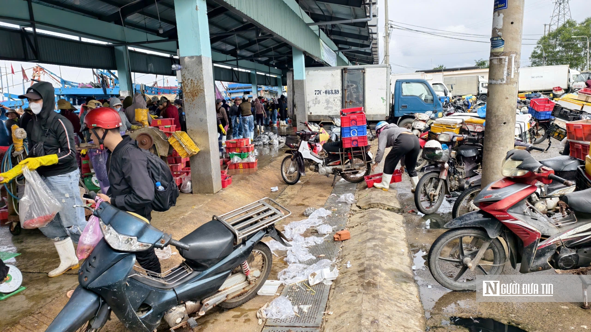 Hệ thống xử l&yacute; nước thải c&aacute;c cảng c&aacute; ở Quảng Ng&atilde;i hoạt động cầm chừng, người d&acirc;n lo &ocirc; nhiễm- Ảnh 1.