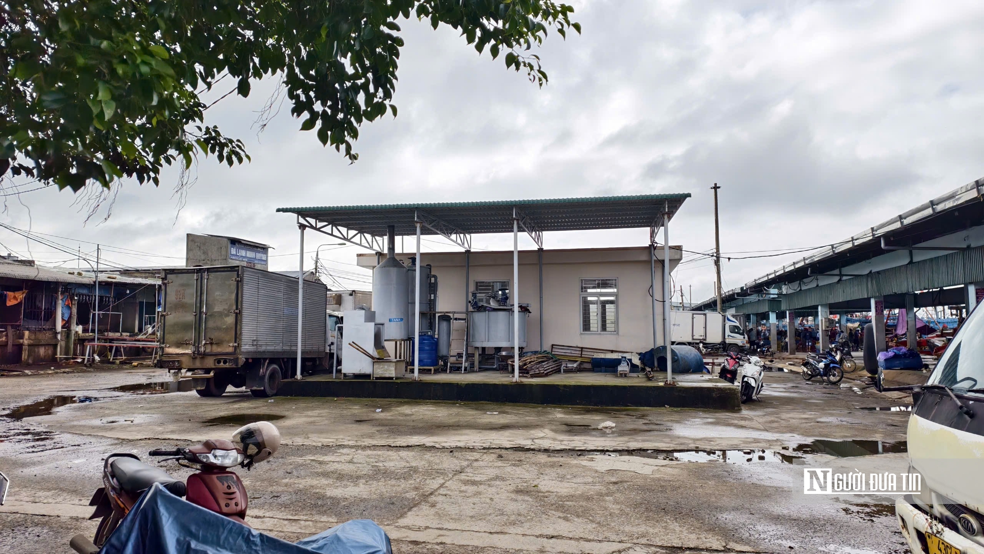 Hệ thống xử l&yacute; nước thải c&aacute;c cảng c&aacute; ở Quảng Ng&atilde;i hoạt động cầm chừng, người d&acirc;n lo &ocirc; nhiễm- Ảnh 5.