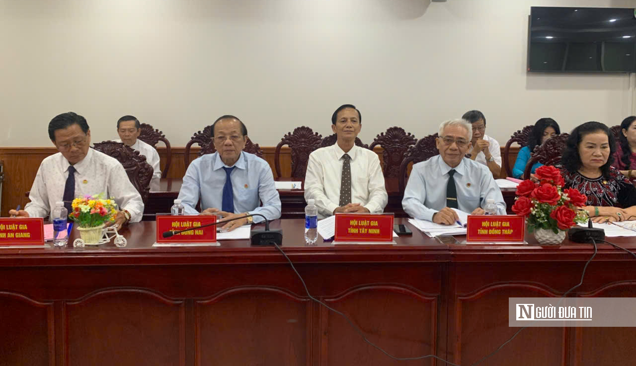 Phát huy vai trò luật gia trong hoàn thiện hệ thống pháp luật tại Đồng Tháp- Ảnh 1.