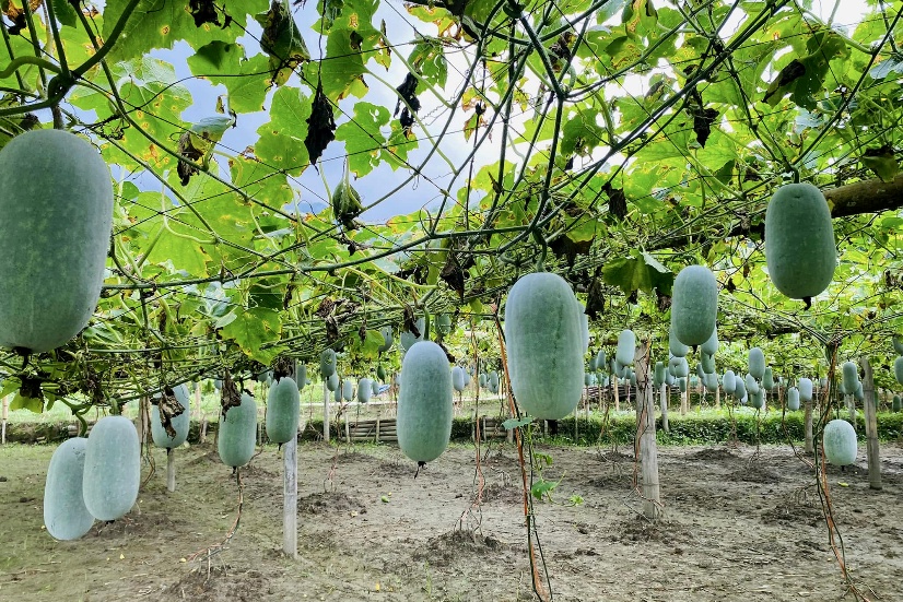 Giảm ngh&egrave;o về th&ocirc;ng tin: Dấu ấn đồng h&agrave;nh của doanh nghiệp tại Th&aacute;i Nguy&ecirc;n - Ảnh 3.