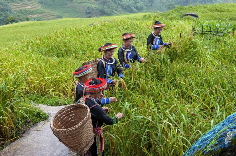 Truyền th&ocirc;ng giảm ngh&egrave;o ở Th&aacute;i Nguy&ecirc;n: Hiệu quả thực chất v&agrave; định hướng giai đoạn 2026&ndash;2030- Ảnh 2.