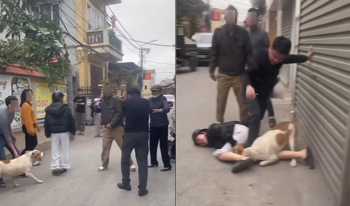 Tạm giữ hình sự 2 bố con trong vụ thả chó cắn người ở Hà Nội- Ảnh 2.