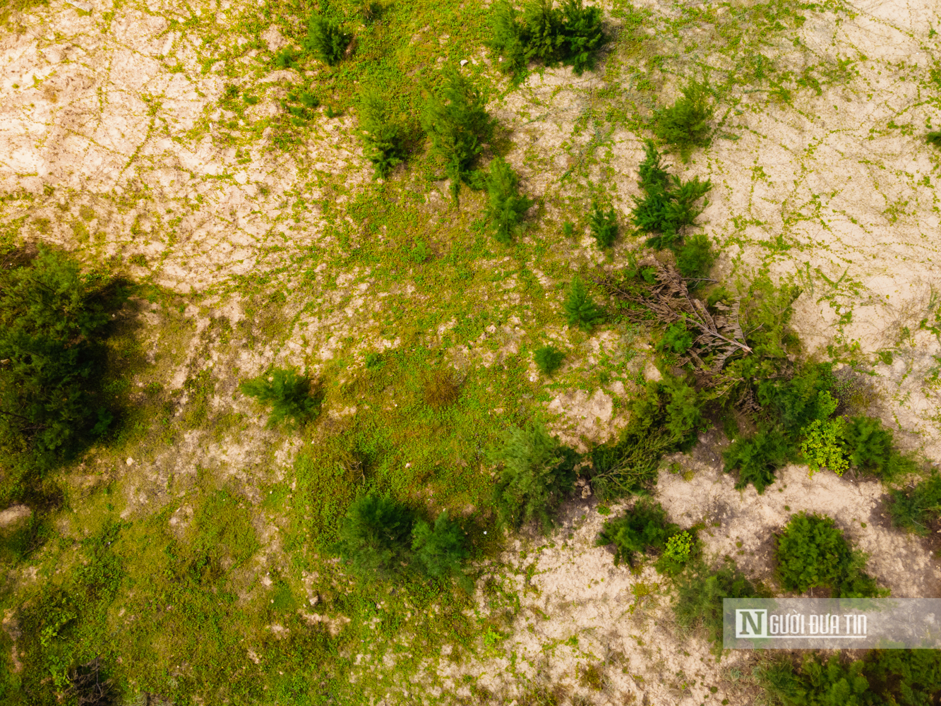 Cận cảnh dự &aacute;n resort 5 sao 1.700 tỷ đồng bị đề xuất "khai tử" sau 7 năm &igrave; ạch - Ảnh 7.