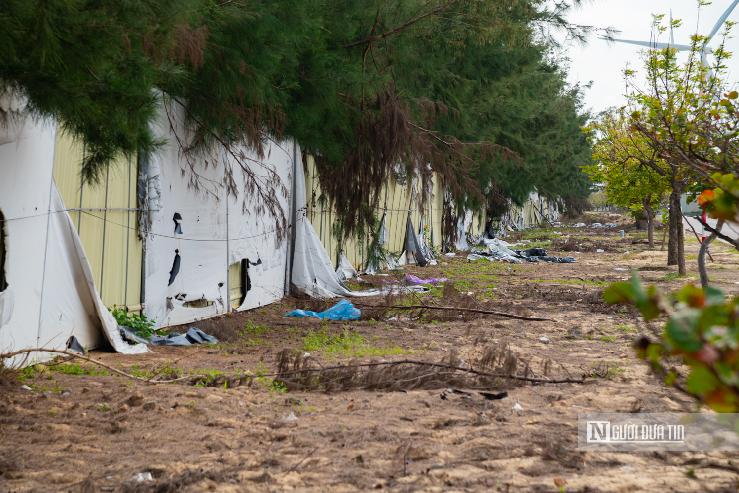 Cận cảnh dự &aacute;n resort 5 sao 1.700 tỷ đồng bị đề xuất "khai tử" sau 7 năm &igrave; ạch - Ảnh 10.