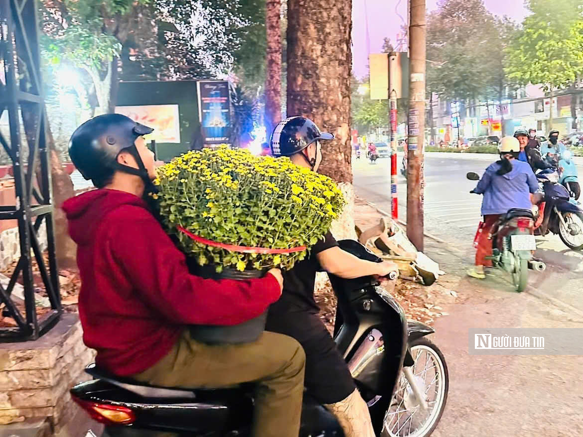 Cúc mâm xôi “đổ bộ” thị trường, xuống phố chào Tết sớm hơn mọi năm - Ảnh 10.