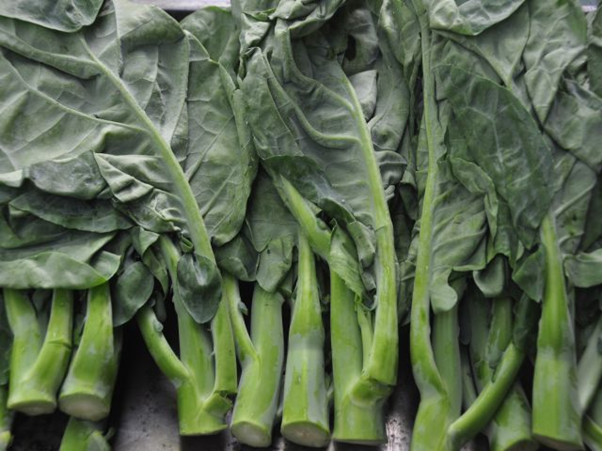 Loại rau được đánh giá "tốt bậc nhất thế giới", hoá ra là rau bình dân ở Việt Nam, ra chợ là thấy - Ảnh 2.