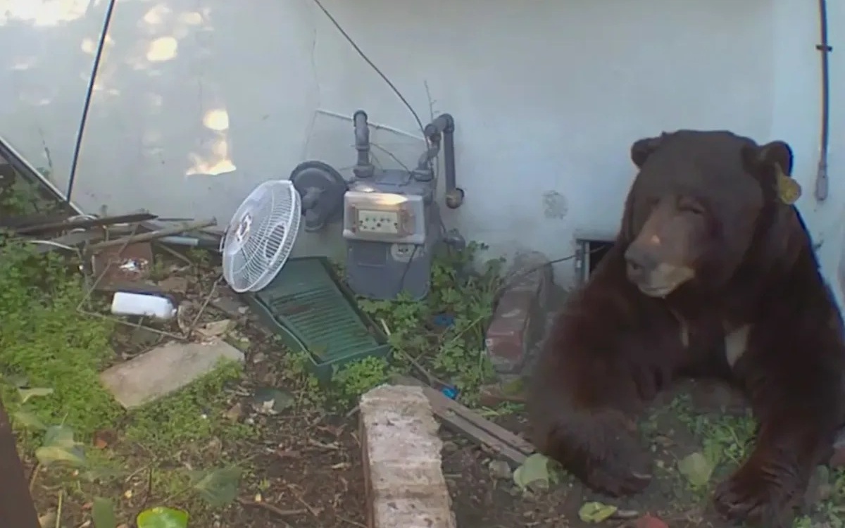 Mở c&aacute;nh cửa gỗ b&iacute; ẩn tr&ecirc;n v&aacute;ch đ&aacute;, cảnh tượng b&ecirc;n trong g&acirc;y x&ocirc;n xao - Ảnh 6.