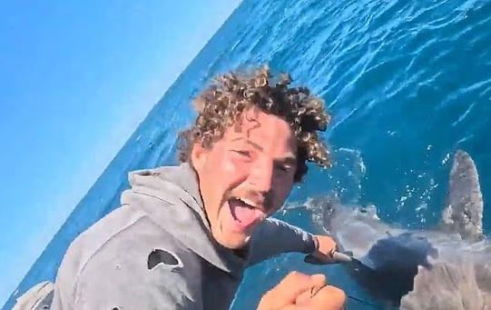 Thợ mộc trẻ kinh ngạc khi câu được cá mập trắng khổng lồ dài 2 mét - Ảnh 1. Thợ mộc trẻ kinh ngạc khi câu được cá mập trắng khổng lồ dài 2 mét - Ảnh 1.