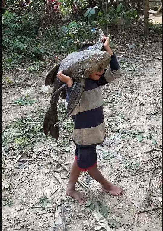 Bắt được "quái vật" khổng lồ, bé trai gây sốc khi vác đi khắp làng- Ảnh 1. Bắt được "quái vật" khổng lồ, bé trai gây sốc khi vác đi khắp làng- Ảnh 1.