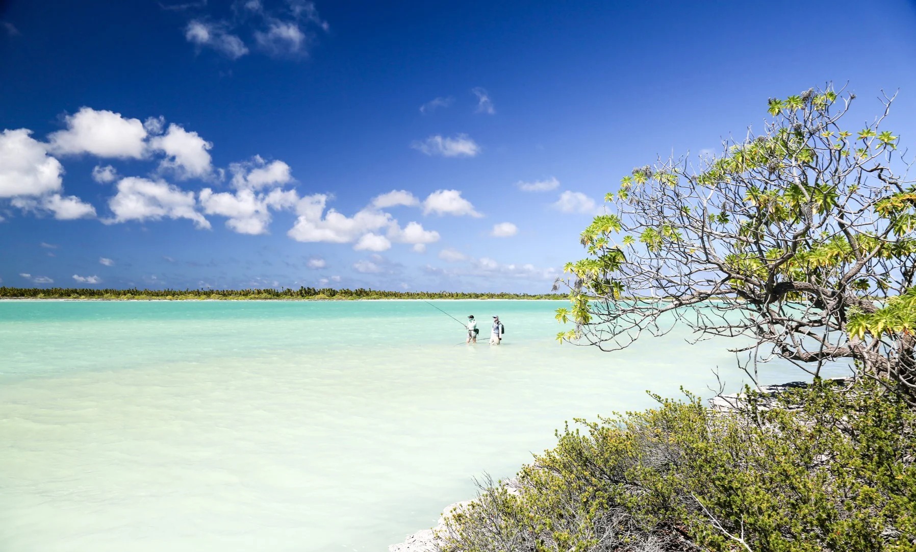 Sự thật thú vị về nơi đón năm mới 2026 sớm nhất - Ảnh 1.