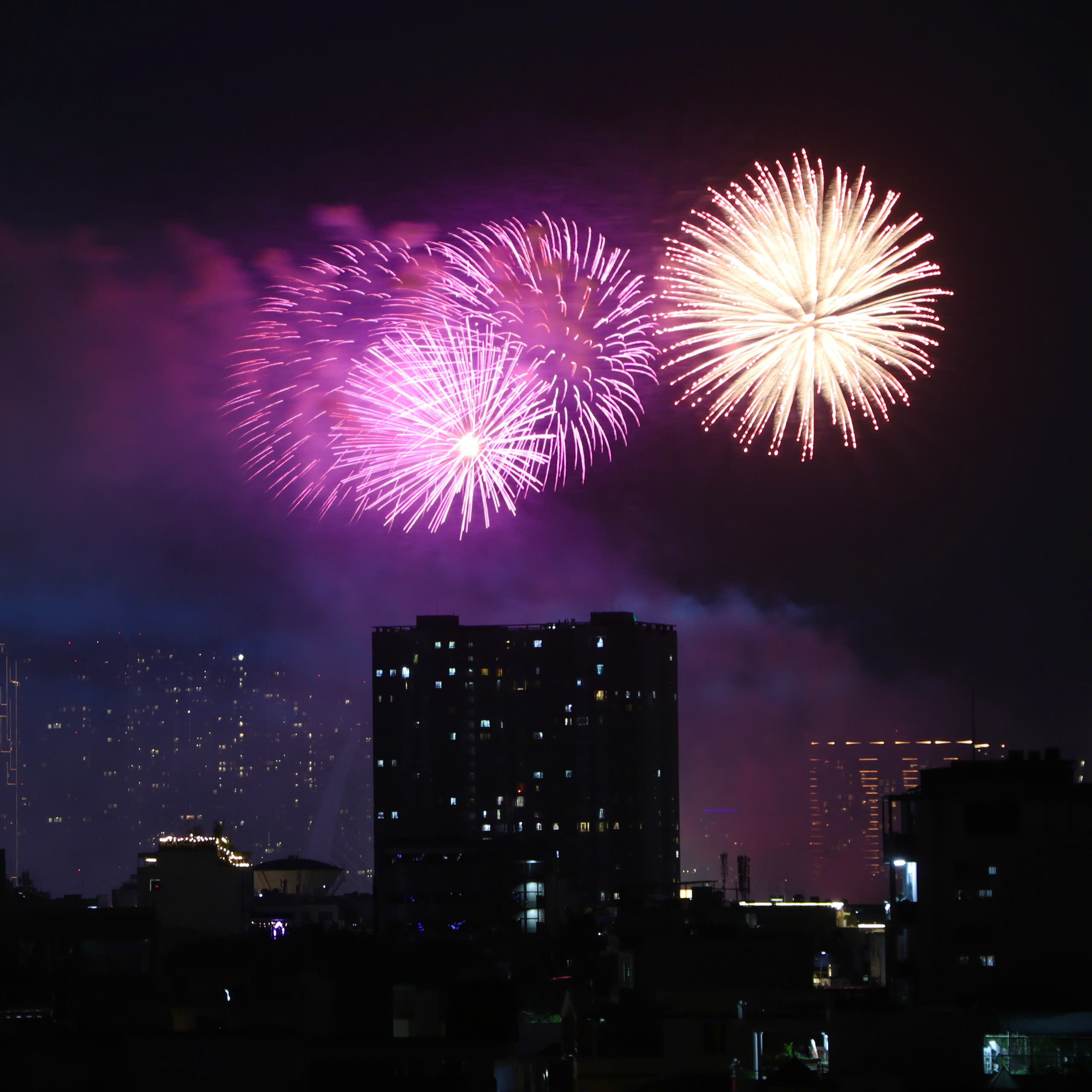 Ch&ugrave;m ảnh ph&aacute;o hoa đ&oacute;n năm mới tại Tp.HCM- Ảnh 8.