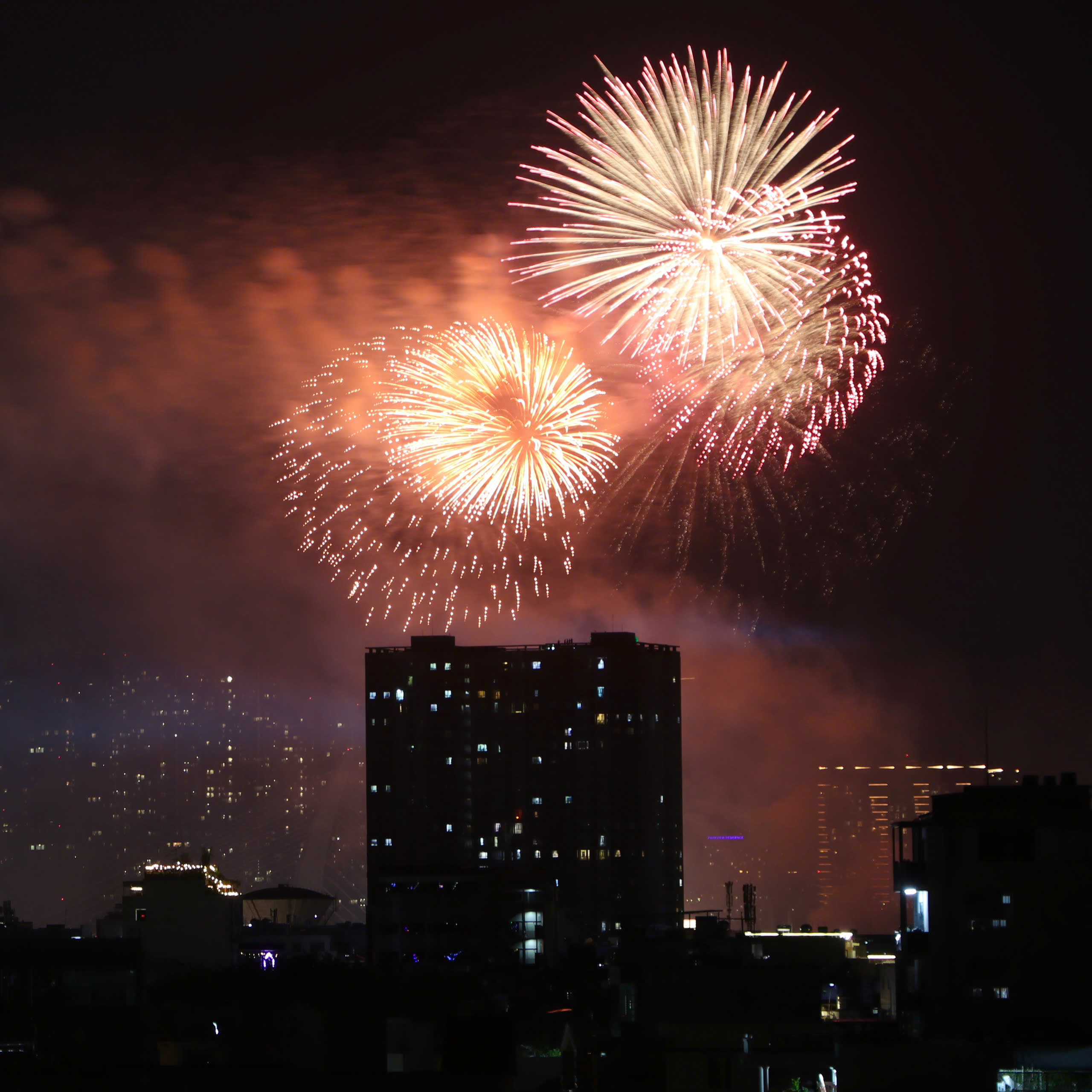 Ch&ugrave;m ảnh ph&aacute;o hoa đ&oacute;n năm mới tại Tp.HCM- Ảnh 7.