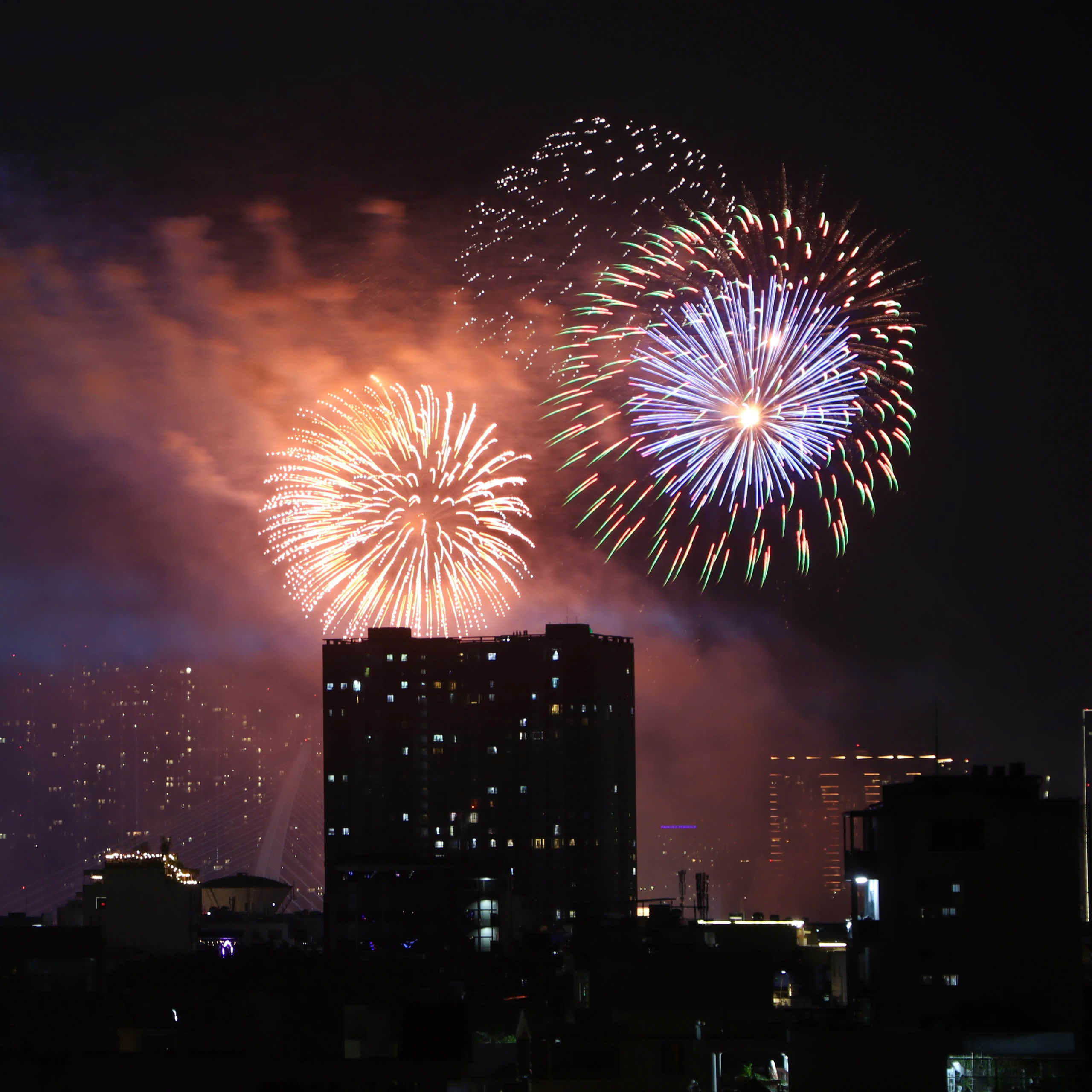 Ch&ugrave;m ảnh ph&aacute;o hoa đ&oacute;n năm mới tại Tp.HCM- Ảnh 6.