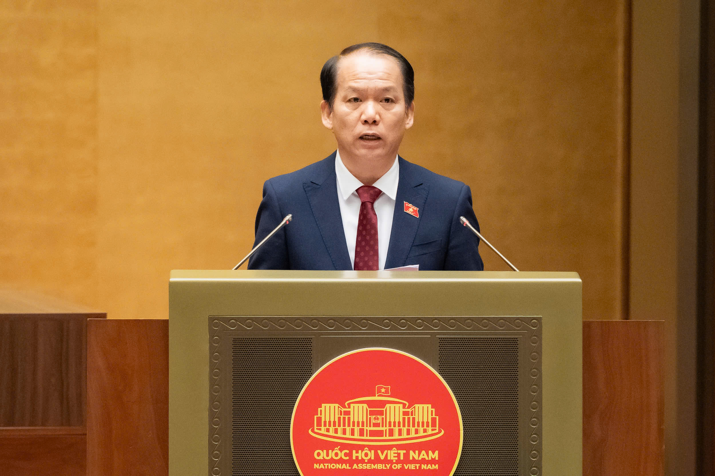 2 quan điểm về thẩm quyền bổ nhiệm Chánh án Tòa án chuyên biệt- Ảnh 2.