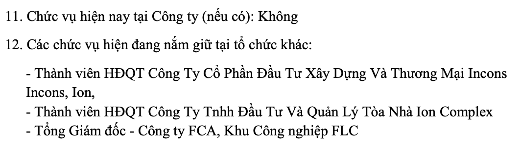 FLC Faros thay Chủ tịch lần thứ 3 trong năm, nữ lãnh đạo 32 tuổi lên nắm quyền- Ảnh 1.