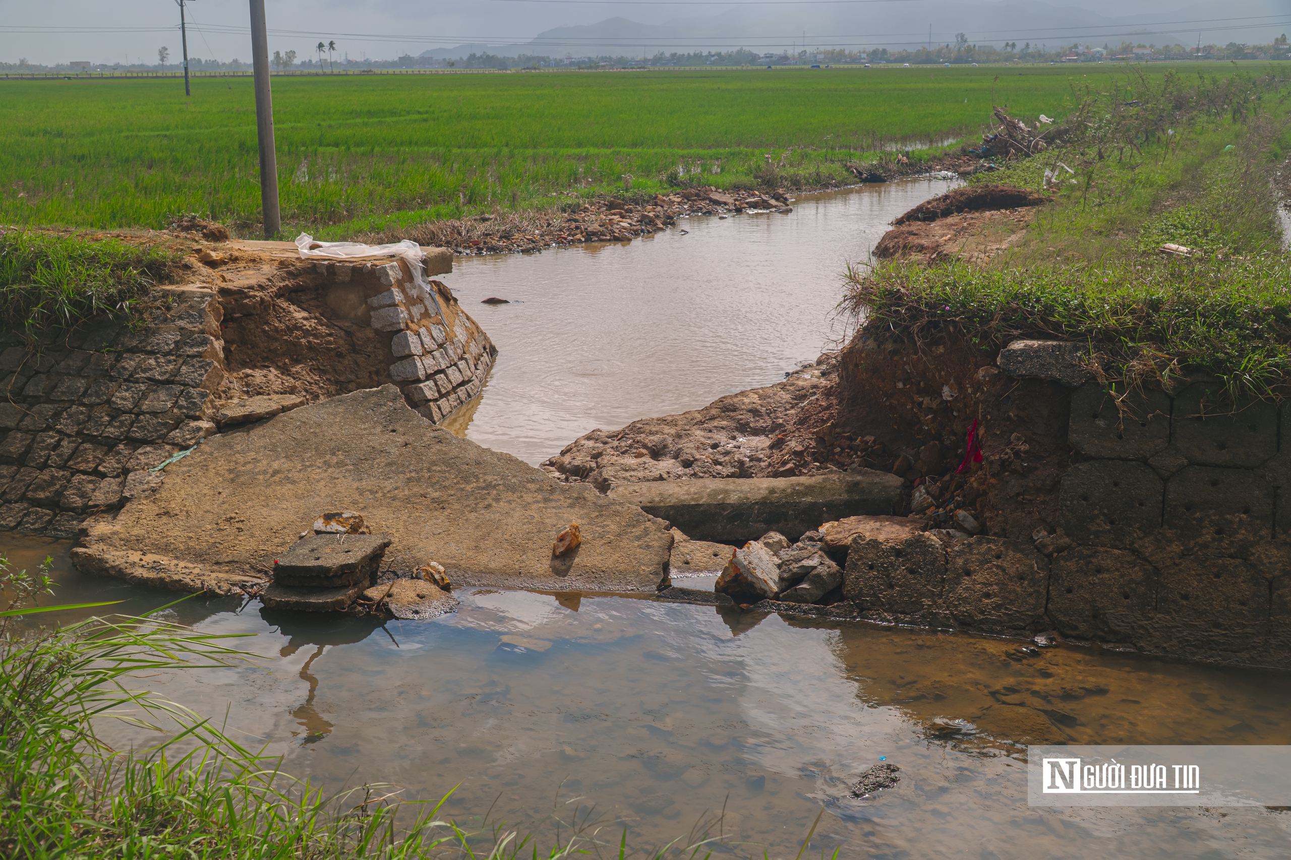 Nhiều đập, kênh thủy lợi hư hỏng đe dọa hàng chục ngàn ha lúa tại Đắk Lắk- Ảnh 8.