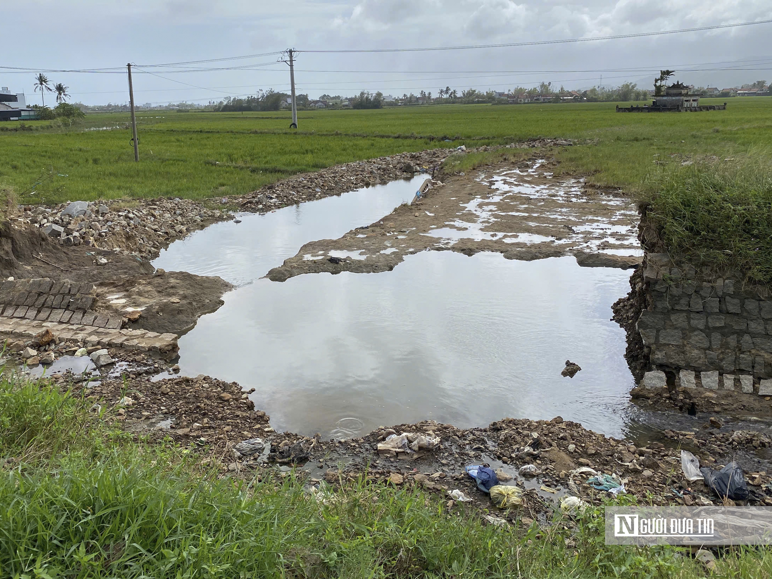 Nhiều đập, kênh thủy lợi hư hỏng đe dọa hàng chục ngàn ha lúa tại Đắk Lắk- Ảnh 9.