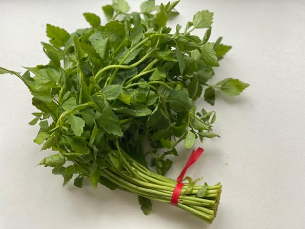 2 loại rau "khoái khẩu" của người Việt mùa se lạnh dễ là "ổ sán", nhất là cái số 1 - Ảnh 1.