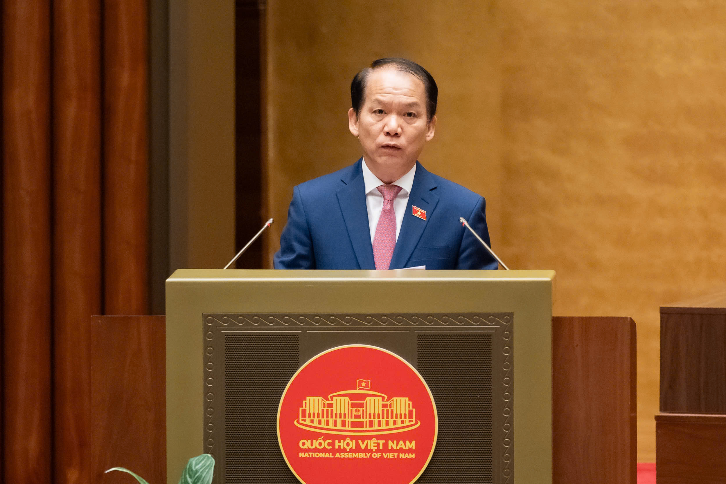 Trưởng phòng THADS khu vực đồng thời là chấp hành viên trưởng - Ảnh 1.