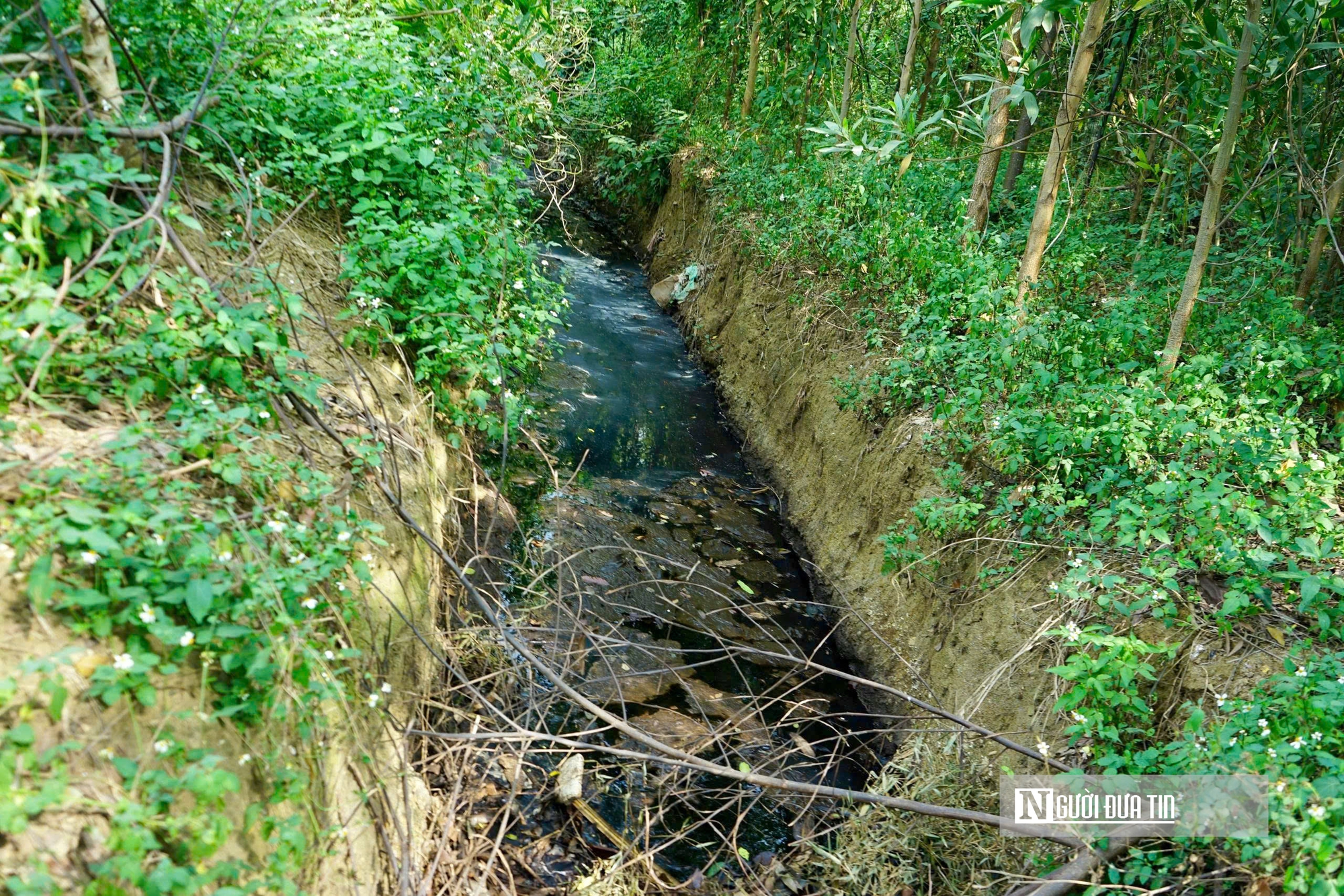 Núi rác hơn 2 triệu tấn gây ô nhiễm, dân mỏi mòn chờ nhà máy điện rác- Ảnh 4.