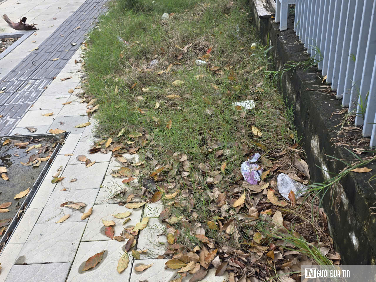 Vỉa hè lát đá nghìn tỷ đồng vừa xong đã gập ghềnh, Đà Nẵng chỉ đạo rà soát, xử lý dứt điểm- Ảnh 6.